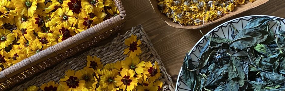 Apprendre et partager